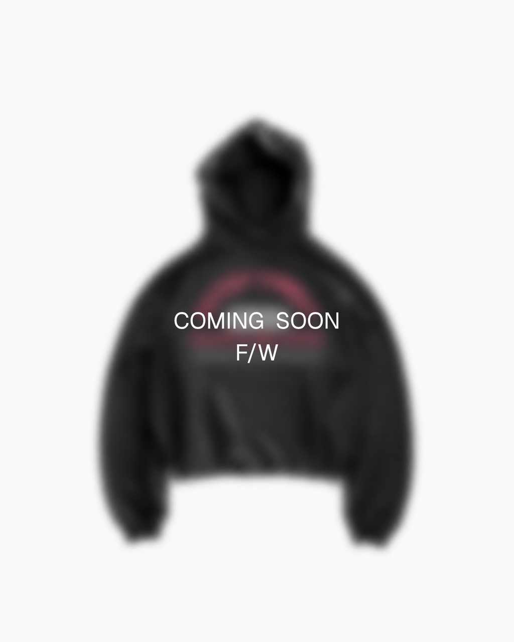 GRAPPLING DIVISION HOODIE — 001