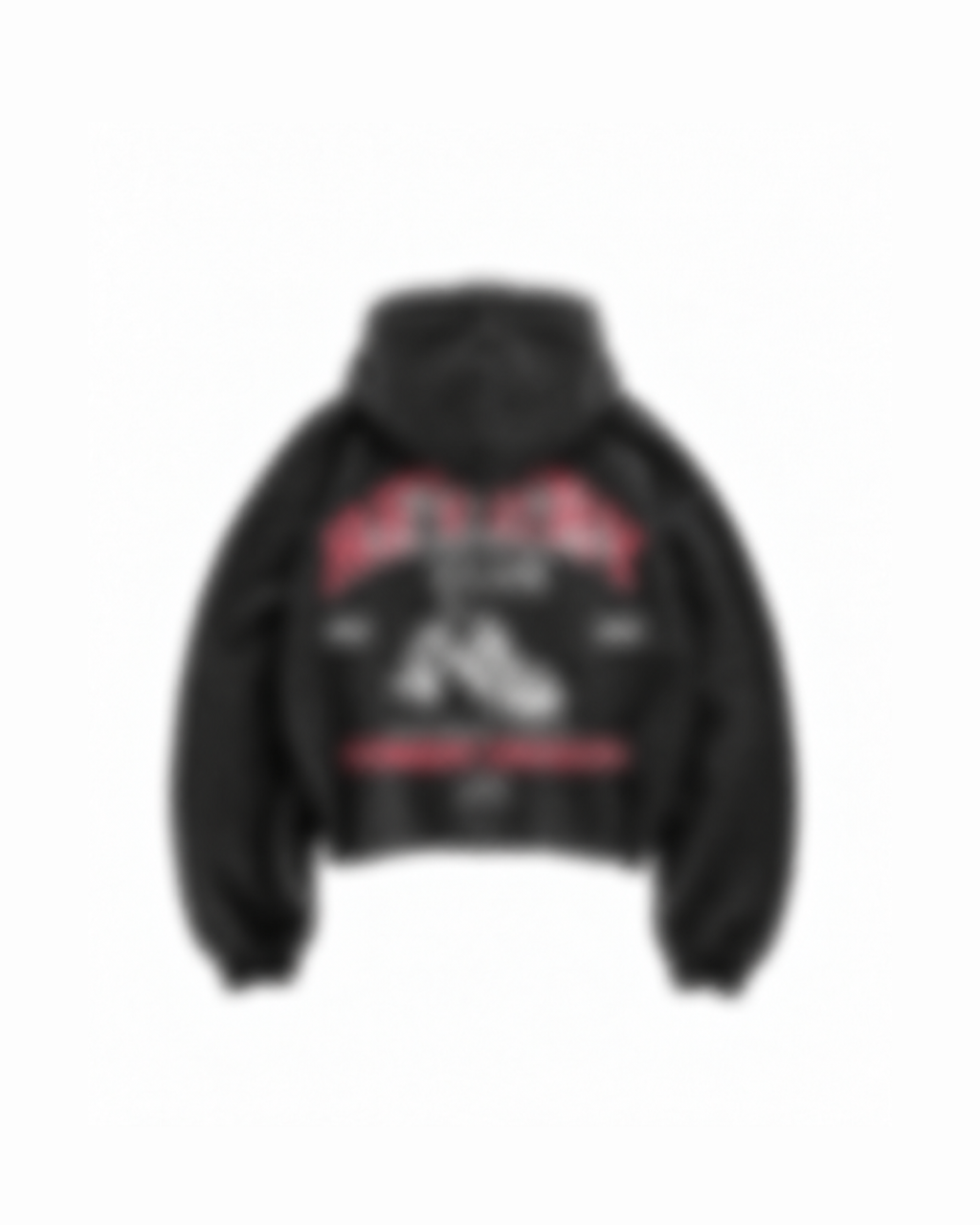GRAPPLING DIVISION HOODIE — 001